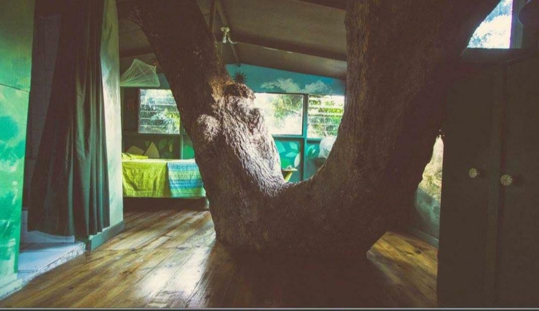 Prince Valley Guesthouse Irish Town Екстер'єр фото